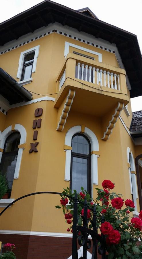 Pensiunea Onix Fagaras Exterior photo