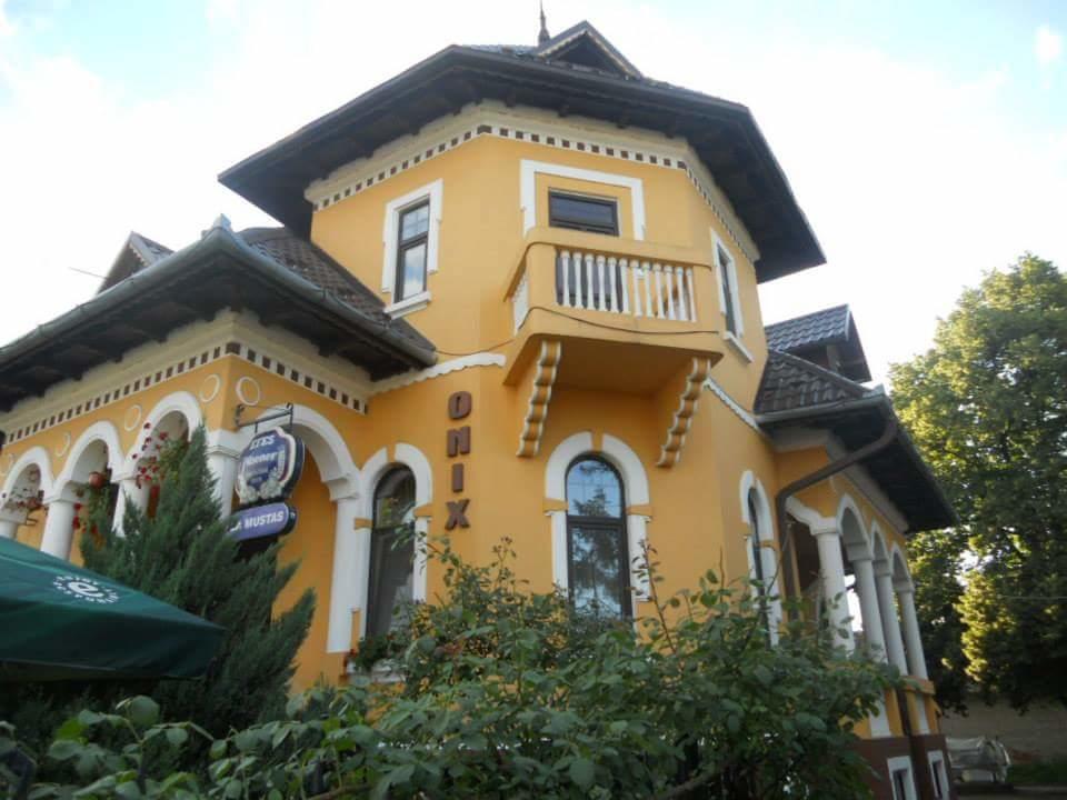 Pensiunea Onix Fagaras Exterior photo