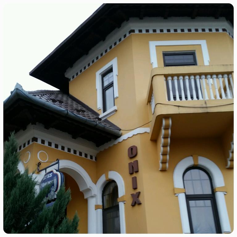 Pensiunea Onix Fagaras Exterior photo
